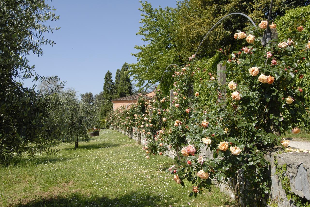 La Chiusa Di Nanni Piaggiori ภายนอก รูปภาพ